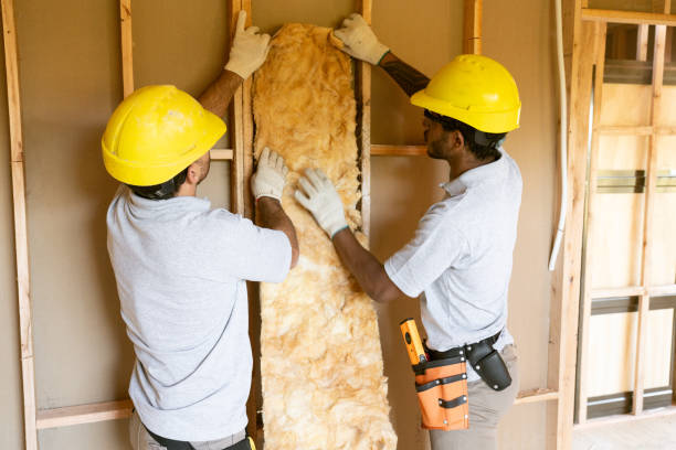 Best Professional Insulation Contractor  in Inglenook, CT